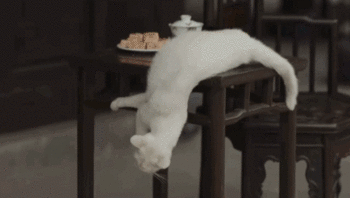 于正新剧《当家主母》被质疑虐猫，回应却频频翻车休闲区蓝鸢梦想 - Www.slyday.coM