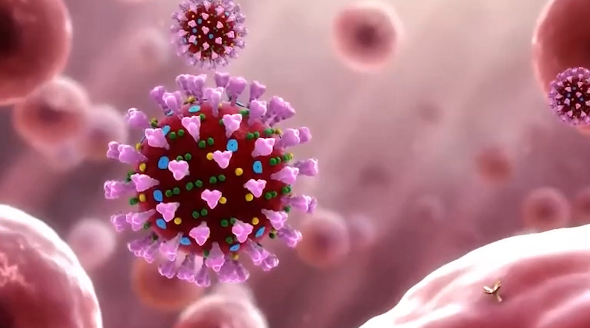 为何新冠病毒传染力会不断增强70秒解读变异病毒特有机制助其逃逸细胞