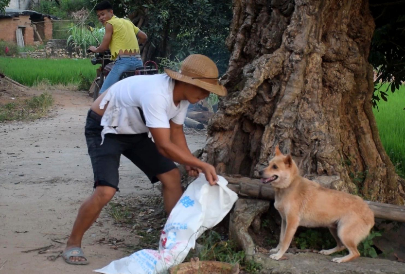 土狗|农村|偷狗贼_新浪新闻
