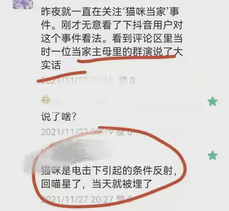 疑群演证实《当家主母》电死小猫,评分持续下跌,于正遭网友咒骂休闲区蓝鸢梦想 - Www.slyday.coM 疑群演证实《当家主母》电死小猫,评分持续下跌,于正遭网友咒骂休闲区蓝鸢梦想 - Www.slyday.coM