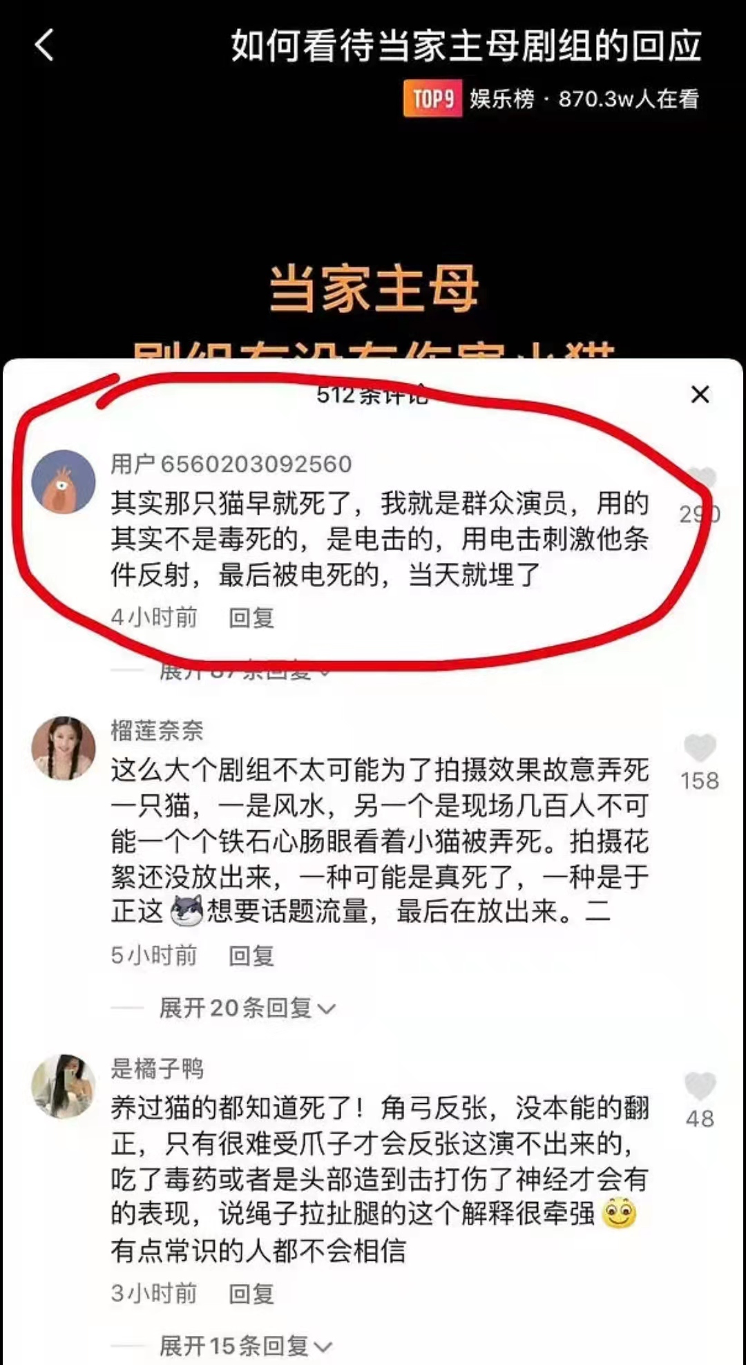 《当家主母》小猫事件反转，群演曝猫已被电死，剧组演员集体失声休闲区蓝鸢梦想 - Www.slyday.coM
