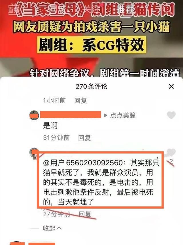 到底谁在撒谎?疑似《当家主母》群演爆料：那只猫早就死了休闲区蓝鸢梦想 - Www.slyday.coM