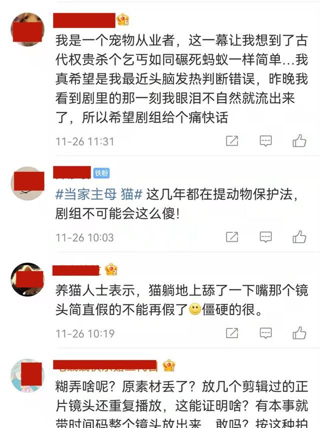 到底谁在撒谎?疑似《当家主母》群演爆料：那只猫早就死了休闲区蓝鸢梦想 - Www.slyday.coM