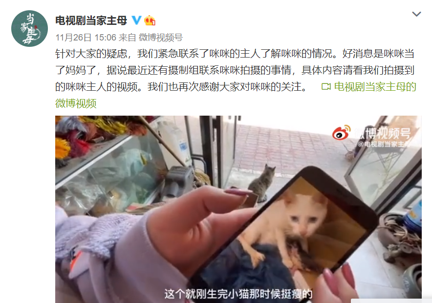 于正新剧《当家主母》被质疑虐猫，回应却频频翻车休闲区蓝鸢梦想 - Www.slyday.coM