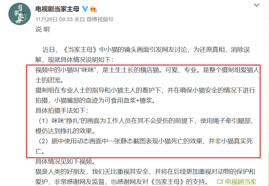 于正新剧《当家主母》被质疑虐猫，回应却频频翻车休闲区蓝鸢梦想 - Www.slyday.coM