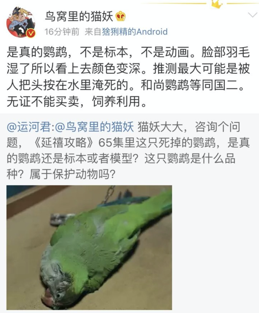 于正新剧《当家主母》被质疑虐猫，回应却频频翻车休闲区蓝鸢梦想 - Www.slyday.coM