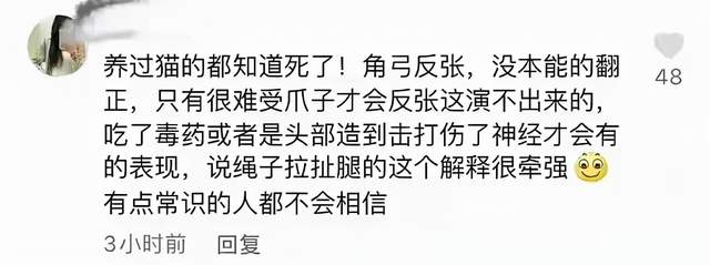 《当家》群演发声了！称猫被电死当天就埋了，同场演员删评不回应休闲区蓝鸢梦想 - Www.slyday.coM