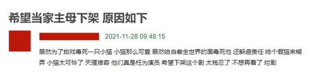 到底谁在撒谎?疑似《当家主母》群演爆料：那只猫早就死了休闲区蓝鸢梦想 - Www.slyday.coM