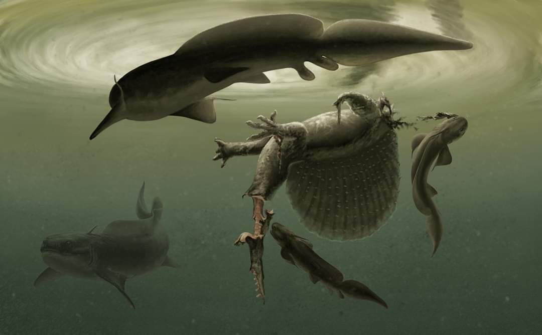 二叠纪末生物大灭绝是地球迄今为止最惨重的生物灭绝事件,95%的物种