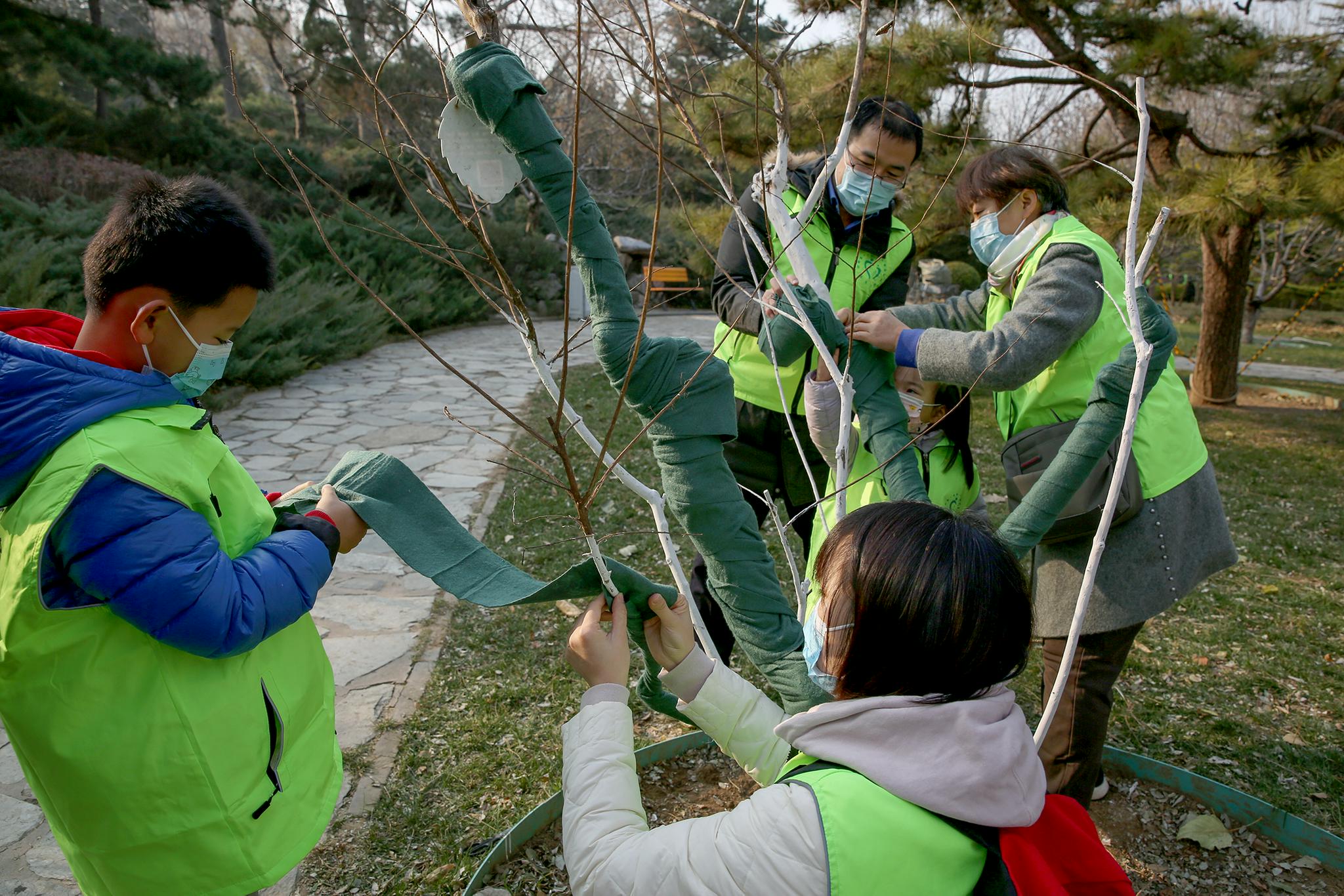 北京双秀公园开展冬季义务植树尽责活动