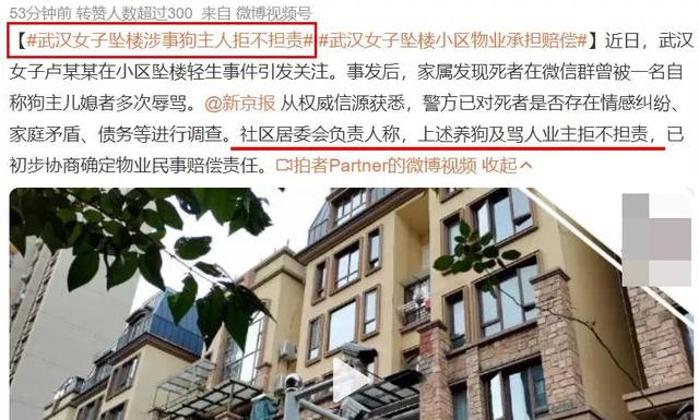 武汉女子坠亡事件，涉事狗主拒不担责：永远别用别人的错伤害自己休闲区蓝鸢梦想 - Www.slyday.coM