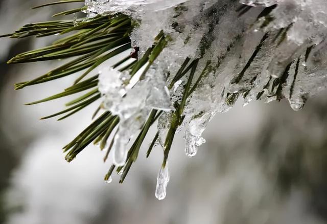 瑞雪倾城来看2021年初冬第一场雪景