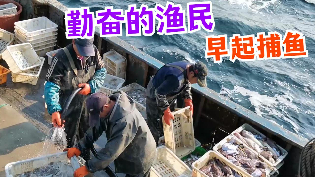 早起的渔民真勤奋,这次包鱼收获如何?老海说出海捕鱼开心最重要