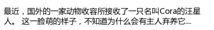 生完孩子就被遗弃，幸好有他们的帮助，才让狗妈妈与自己的孩子团聚