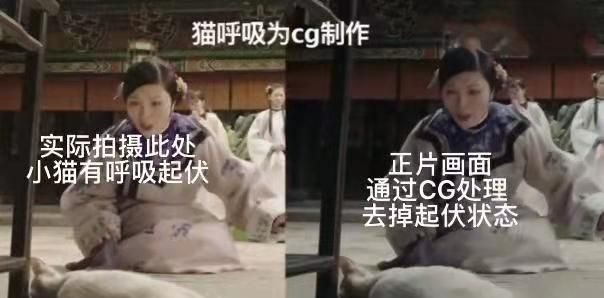 全网关心的猫咪回家了!《当家主母》剧组再晒视频回应争议休闲区蓝鸢梦想 - Www.slyday.coM