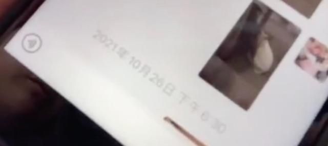 群演爆料,《当家主母》里的猫早已被“活活电死”,评分跌至3.1休闲区蓝鸢梦想 - Www.slyday.coM