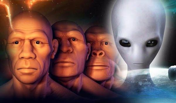 如果人类是外星人创造的,有何依据呢?