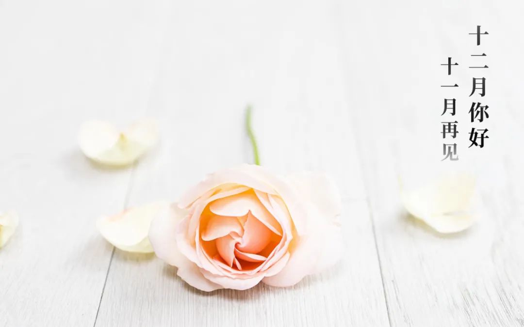 十一月再见十二月你好的文案,适合发朋友圈的唯美句子休闲区蓝鸢梦想 - Www.slyday.coM 十一月再见十二月你好的文案,适合发朋友圈的唯美句子休闲区蓝鸢梦想 - Www.slyday.coM