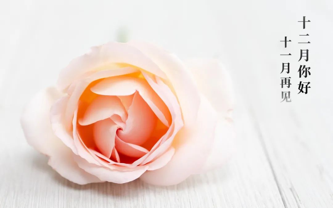 十一月再见十二月你好的文案,适合发朋友圈的唯美句子休闲区蓝鸢梦想 - Www.slyday.coM 十一月再见十二月你好的文案,适合发朋友圈的唯美句子休闲区蓝鸢梦想 - Www.slyday.coM