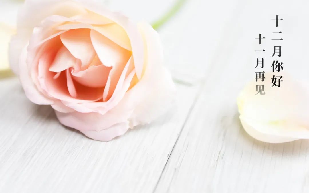 十一月再见十二月你好的文案,适合发朋友圈的唯美句子休闲区蓝鸢梦想 - Www.slyday.coM 十一月再见十二月你好的文案,适合发朋友圈的唯美句子休闲区蓝鸢梦想 - Www.slyday.coM