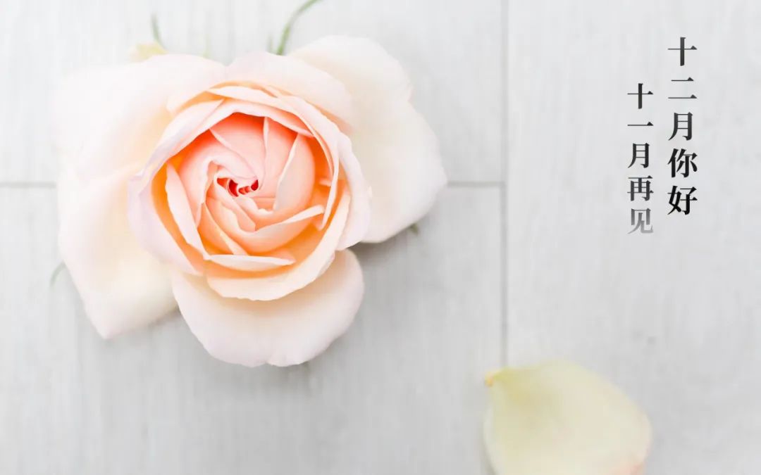 十一月再见十二月你好的文案,适合发朋友圈的唯美句子休闲区蓝鸢梦想 - Www.slyday.coM 十一月再见十二月你好的文案,适合发朋友圈的唯美句子休闲区蓝鸢梦想 - Www.slyday.coM