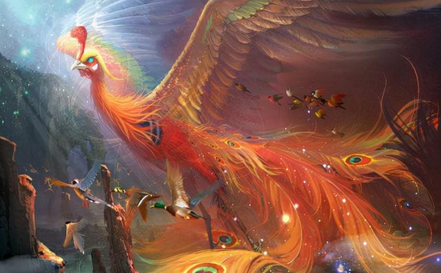 传说中的凤凰真实存在2016年黑凤凰现身惊艳世人上