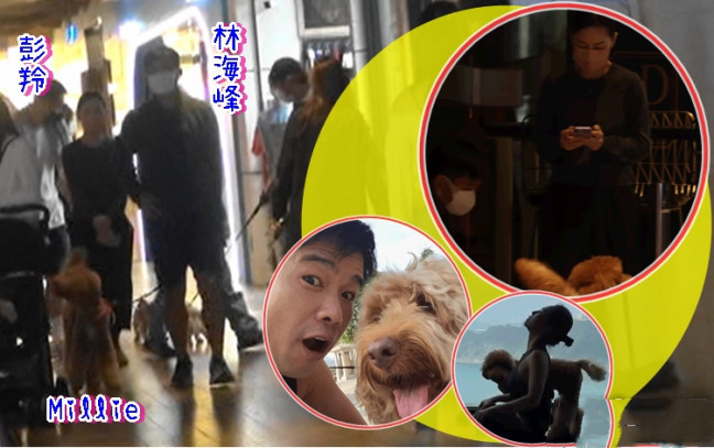 乐坛天后彭羚低调拍拖携老公外出遛狗结婚23年仍恩爱如初