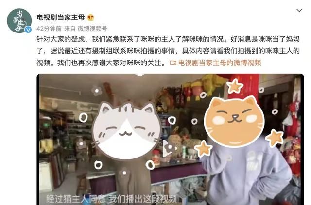 全网关心的猫咪回家了!《当家主母》剧组再晒视频回应争议休闲区蓝鸢梦想 - Www.slyday.coM