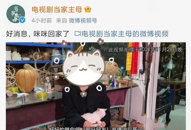 全网关心的猫咪回家了!《当家主母》剧组再晒视频回应争议休闲区蓝鸢梦想 - Www.slyday.coM