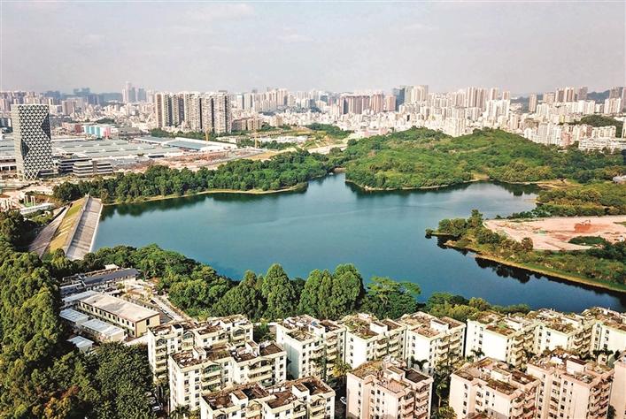 民治水库是龙华区总库容最大的水库.