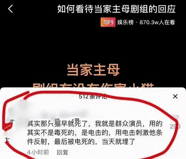 全网关心的猫咪回家了!《当家主母》剧组再晒视频回应争议休闲区蓝鸢梦想 - Www.slyday.coM