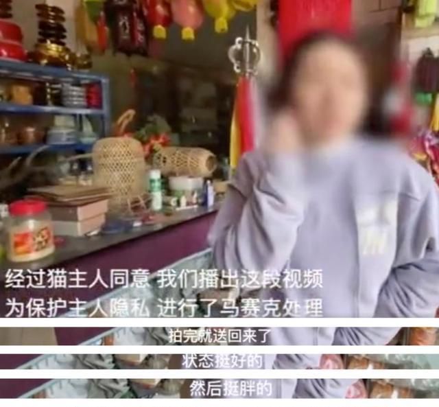 群演爆料,《当家主母》里的猫早已被“活活电死”,评分跌至3.1休闲区蓝鸢梦想 - Www.slyday.coM