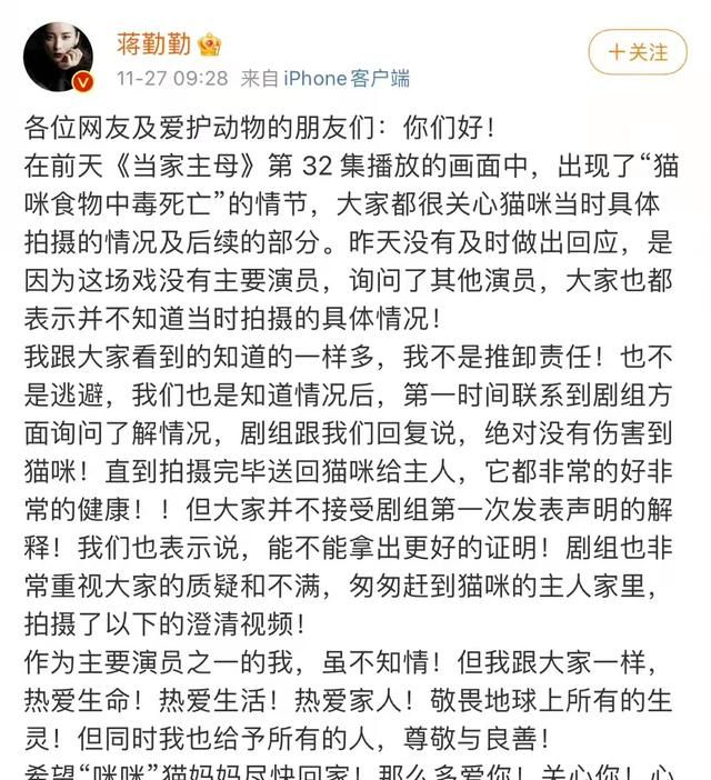全网关心的猫咪回家了!《当家主母》剧组再晒视频回应争议休闲区蓝鸢梦想 - Www.slyday.coM