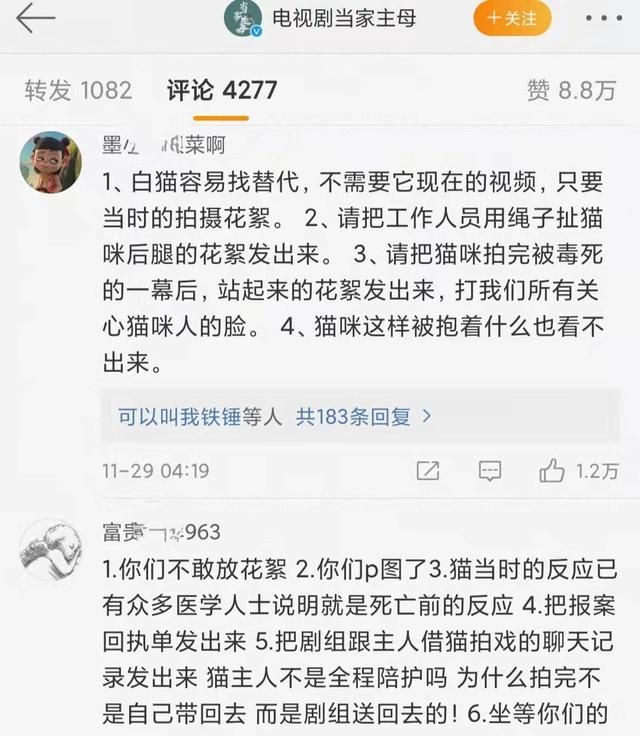 全网关心的猫咪回家了!《当家主母》剧组再晒视频回应争议休闲区蓝鸢梦想 - Www.slyday.coM