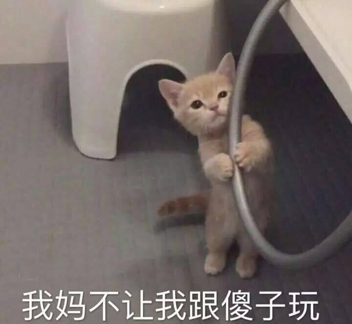 《当家主母》:群演称猫被电亡,拍戏当天就埋了休闲区蓝鸢梦想 - Www.slyday.coM 《当家主母》:群演称猫被电亡,拍戏当天就埋了休闲区蓝鸢梦想 - Www.slyday.coM