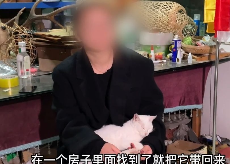 《当家主母》跌至2.9分？剧组晒假猫糊弄网友，评论区再度翻车休闲区蓝鸢梦想 - Www.slyday.coM