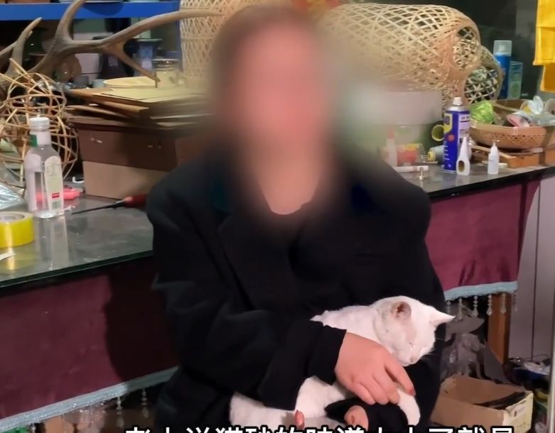 《当家主母》跌至2.9分？剧组晒假猫糊弄网友，评论区再度翻车休闲区蓝鸢梦想 - Www.slyday.coM