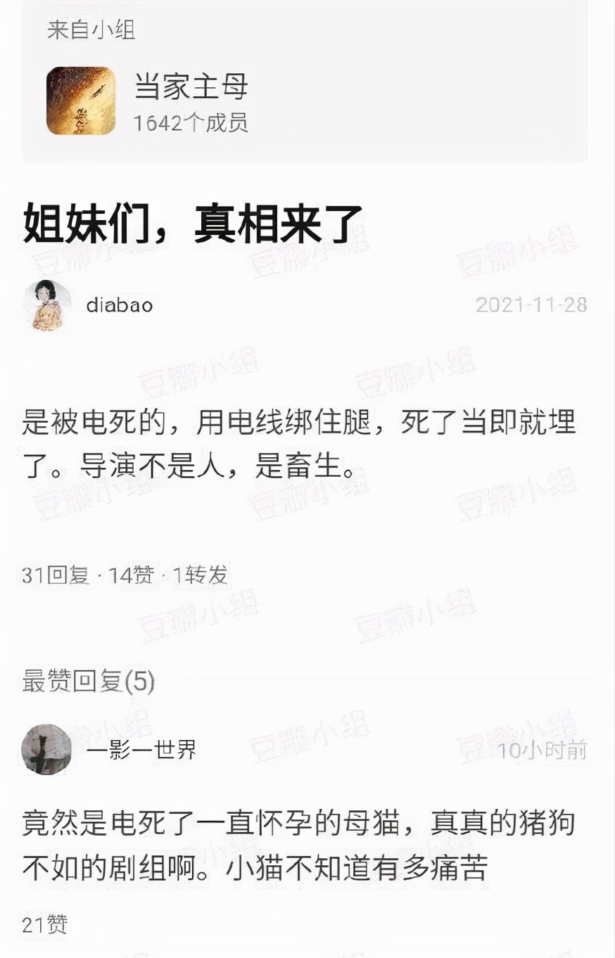 《当家主母》:群演称猫被电亡,拍戏当天就埋了休闲区蓝鸢梦想 - Www.slyday.coM 《当家主母》:群演称猫被电亡,拍戏当天就埋了休闲区蓝鸢梦想 - Www.slyday.coM