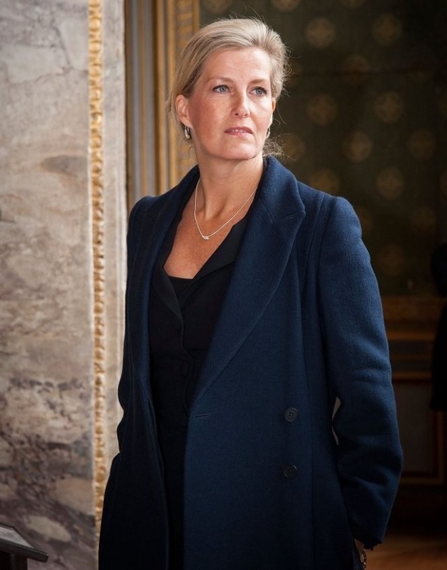 裹皮衣气场全开,一袭蓝纱裙美翻了|苏菲|王妃|小儿媳_新浪新闻