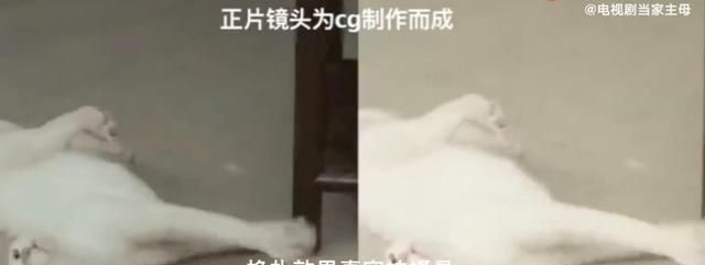 群演爆料,《当家主母》里的猫早已被“活活电死”,评分跌至3.1休闲区蓝鸢梦想 - Www.slyday.coM