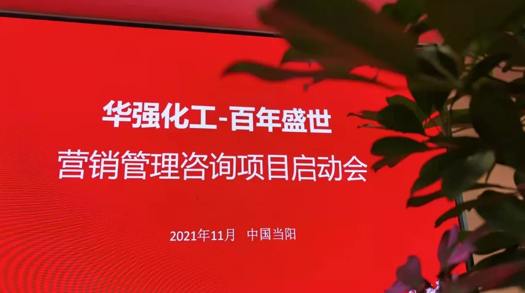 西湖seo优化推广