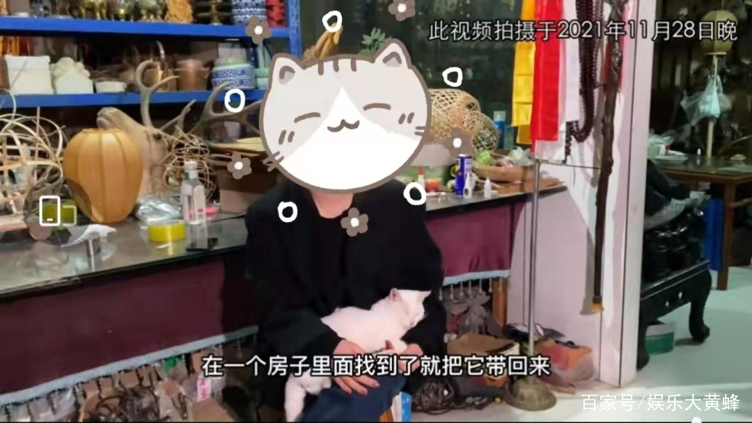 全网关心的猫咪回家了!《当家主母》剧组再晒视频回应争议休闲区蓝鸢梦想 - Www.slyday.coM