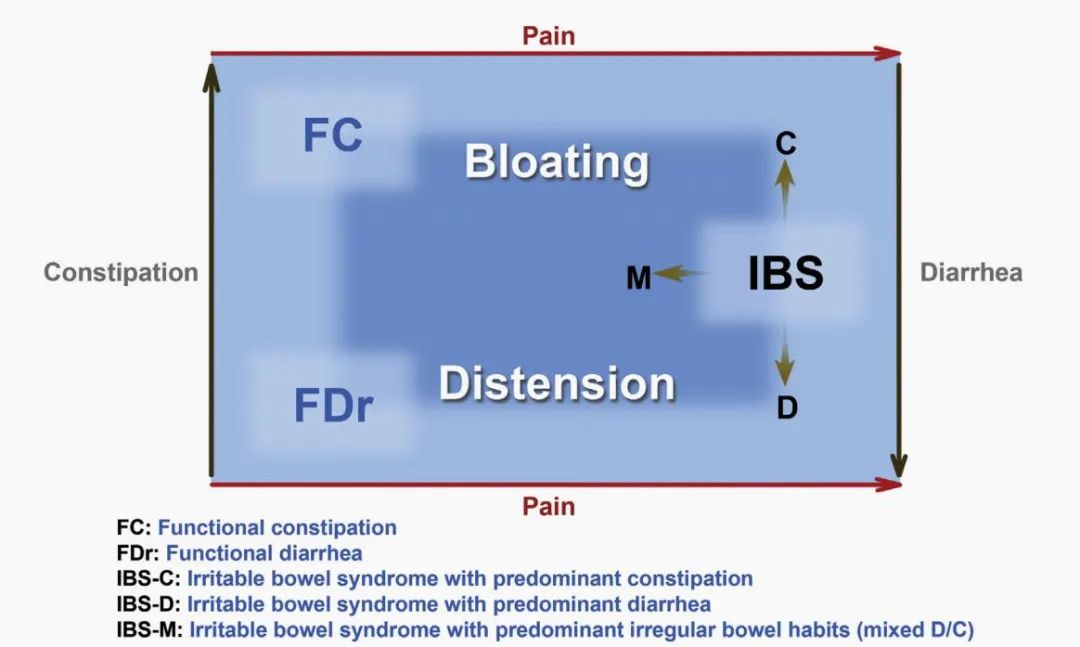 一紧张就想上厕所？你的“社死”时刻可能和这种疾病有关休闲区蓝鸢梦想 - Www.slyday.coM