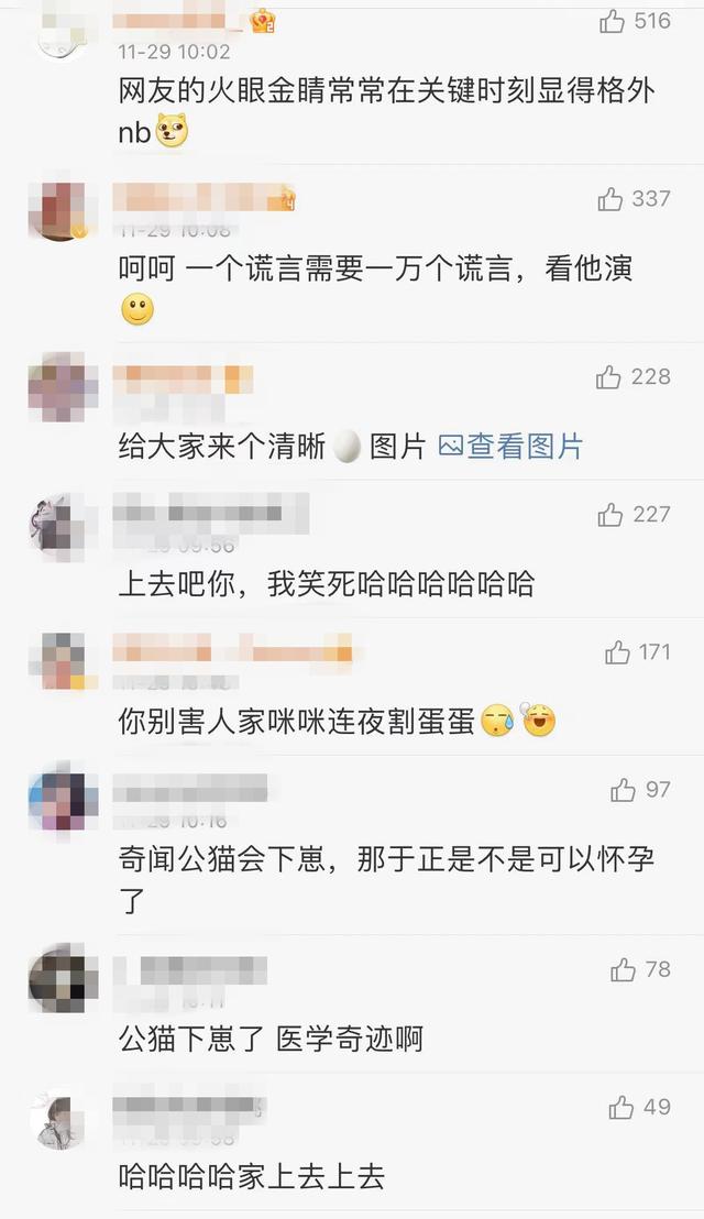 《当家主母》报警后小猫开社交账号亲证未死？网友质疑剧组找错猫休闲区蓝鸢梦想 - Www.slyday.coM