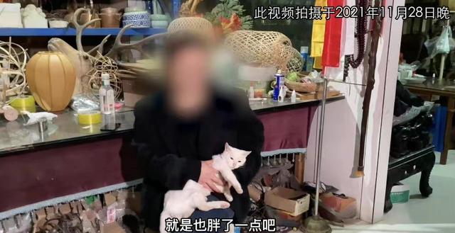 《当家主母》报警后小猫开社交账号亲证未死？网友质疑剧组找错猫休闲区蓝鸢梦想 - Www.slyday.coM