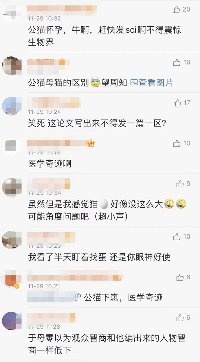 《当家主母》报警后小猫开社交账号亲证未死？网友质疑剧组找错猫休闲区蓝鸢梦想 - Www.slyday.coM