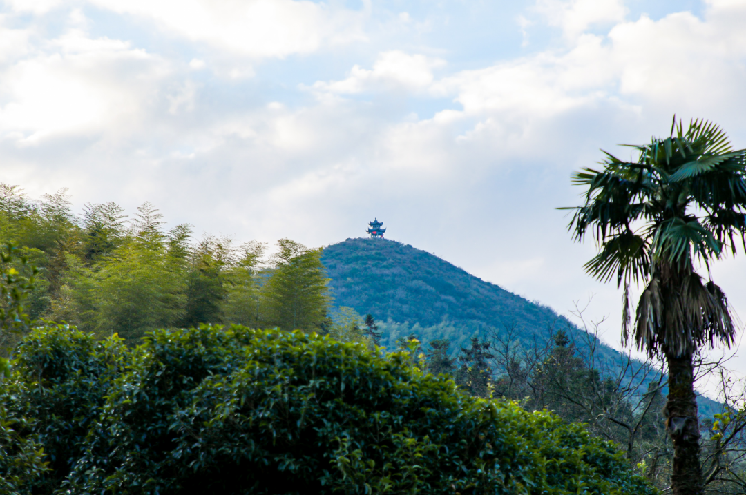又添一景!就在南昌湾里__财经头条