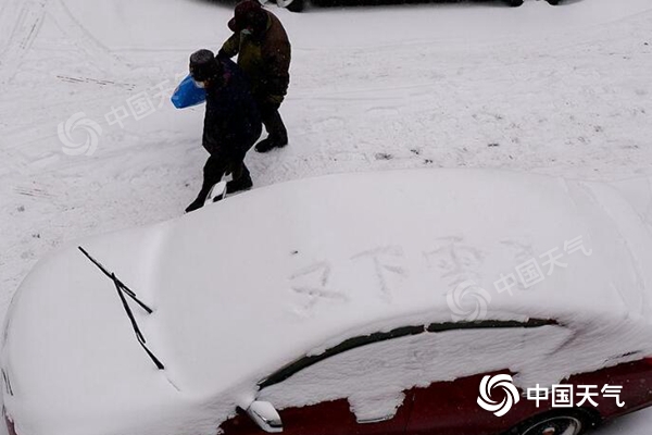 11月21日至22日，受寒潮天气影响，哈尔滨迎来降雪。（图/吴胡荼）