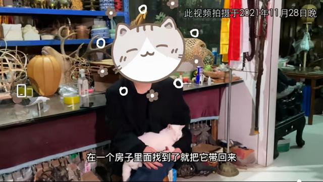 《当家主母》报警后小猫开社交账号亲证未死？网友质疑剧组找错猫休闲区蓝鸢梦想 - Www.slyday.coM