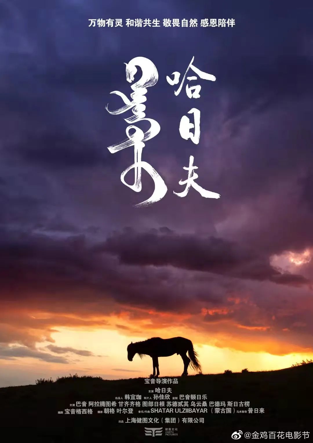 第34届金鸡奖提名公布，9部“上海出品”分获28项提名休闲区蓝鸢梦想 - Www.slyday.coM